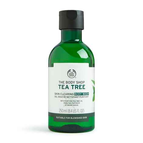 Buy The Body Shop Tea Tree Body Wash-250ML - Purplle