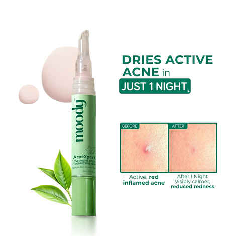 Buy Moody Acnexpert Overnight Spot Correcting Pen Pimple Drying Lotion With Salicylic Sulfur & Zinc - 10 ml - Purplle