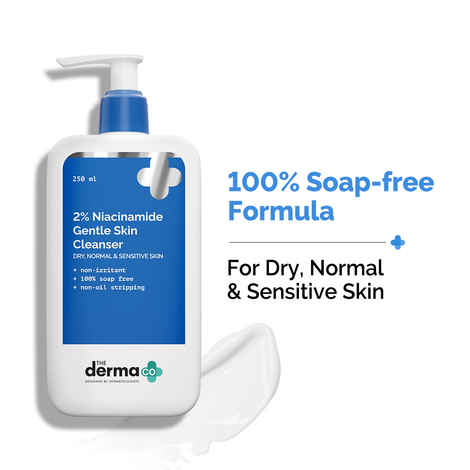Buy The Derma Co. 2 2% Niacinamide Gentle Skin Cleanser - 250ml - Purplle