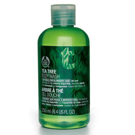 Buy The Body Shop Tea Tree Body Wash 250 ml Pack Of 2 - Purplle