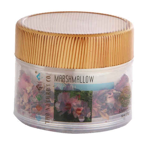 Buy The Natures Co. Marshmallow Day Cream (50 ml) - Purplle