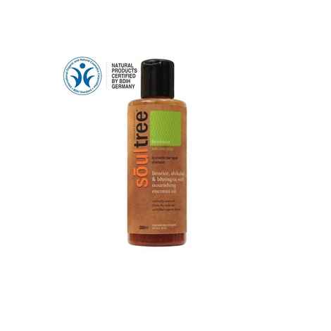 Buy Soultree Licorice, Shikakai & Bhringraj With Nourishing Coconut Hair Repair Shampoo (200 ml) - Purplle