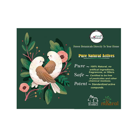 Buy Zenvista Forest Botanicals Kokum Butter Natural , Raw,Organic ,Unrefined,Chemical Free Diy Skin Care (50 gm)-Purplle
