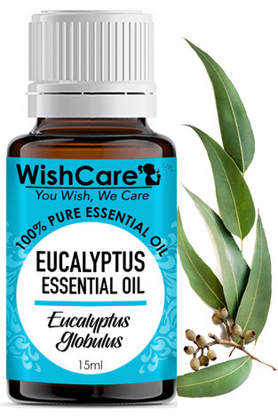 Buy WishCare Pure Eucalyptus Essential Oil - 15 ML-Purplle