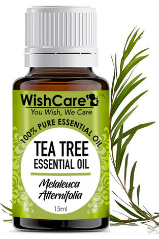 Buy WishCare Pure Tea Tree Essential Oil - 15 ML-Purplle