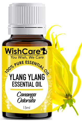 Buy WishCare Pure Ylang Ylang Essential Oil - 15 ML-Purplle