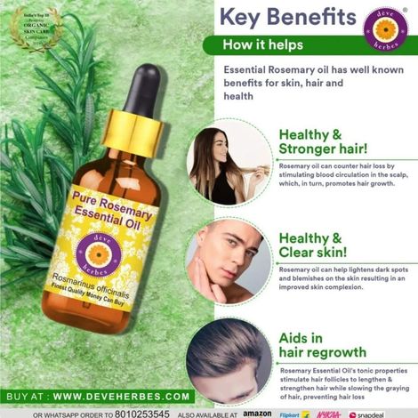 Greenwood Essentiële Pure Hysop Essentiële Olie (Hyssopus officinalis) 100% Natuurlijke Therapeutische Kwaliteit Stoom Gedistilleerd voor Persoonlijke Verzorging 5ml (0.16oz