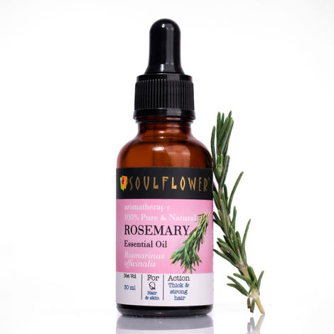 Buy Soulflower Rosemary Essential Oil for Hair Growth, Hair Fall Control and Nourishment, Skin Care | Clinically Tested & Ecocert Certified Organic 100% Pure, Natural, Undiluted | 15ml-Purplle