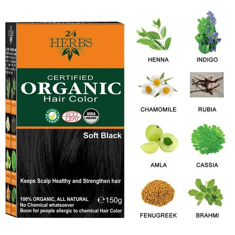 Buy 24 HERBS Certified Organic Hair Color Soft Black - (150 g