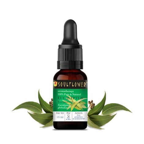 Buy Soulflower Eucalyptus Essential Oil 100% Pure, Natural  15ml-Purplle