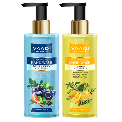 Buy Vaadi Herbals So Refreshing - Pack of 2 Luxurious Handwash - Blueberry & Lemon (250ml x 2)-Purplle