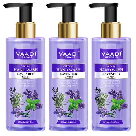 Buy Vaadi Herbals Pack of 3 Calming Lavender & Mint Hand Wash - Deep Moisutirizing (250 ml x 3)-Purplle