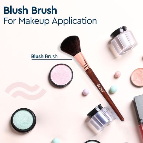 best blush brush india