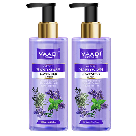 Buy Vaadi Herbals Pack of 2 Calming Lavender & Mint Hand Wash - Deep Moisutirizing (250 ml x 2)-Purplle