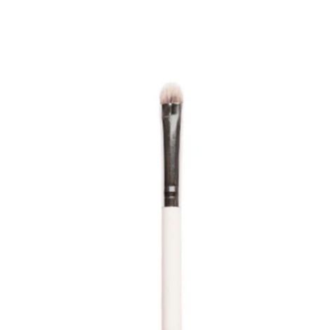 Buy Plume P17 - Dense Dome Eyeshadow Application Brush - 1 Pc-Purplle