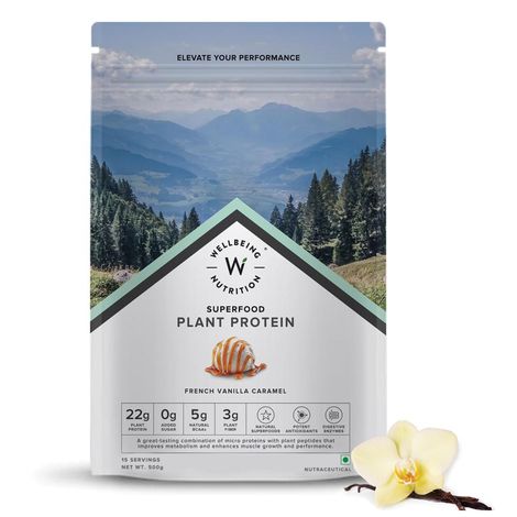 Buy Wellbeing Nutrition Organic Vegan Plant Protein Isolate | Vanilla Caramel - 500 gm-Purplle