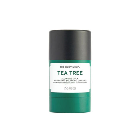 Buy The Body Shop Tea Tree All-In-One Stick, 25G-Purplle