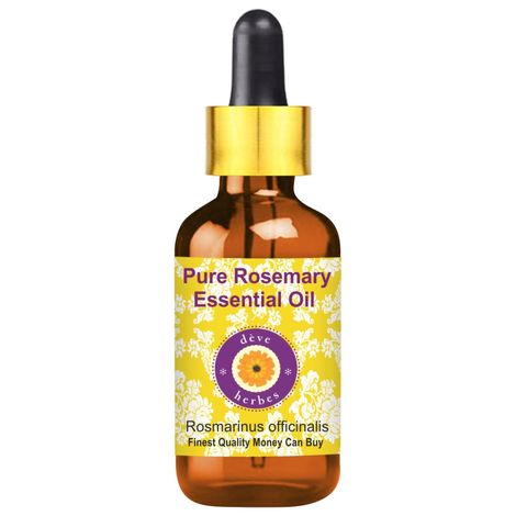 Buy Deve Herbes Pure Rosemary Essential Oil (Rosmarinus officinalis) with Glass Dropper Natural Therapeutic Grade Steam Distilled (10 ml)-Purplle