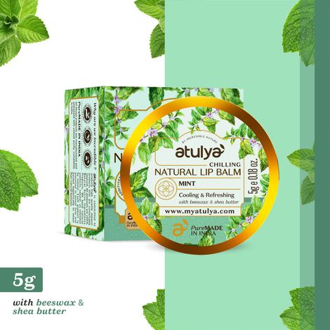 Buy Atulya Mint Natural Lip Balm 5 gm-Purplle