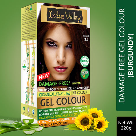 Buy Indus Valley Organically Natural Gel Burgundy 3.6 Hair Color -(220 g)-Purplle