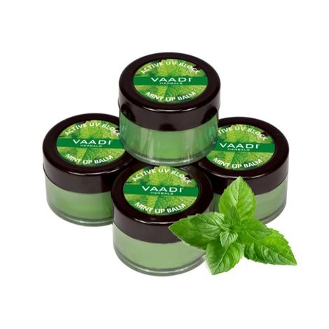 Buy Vaadi Herbals Lip Balm Mint Value Pack Of 4 (4 X 10 g)-Purplle