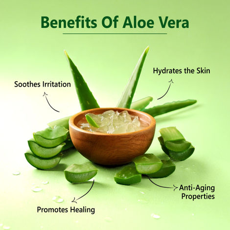 Good Vibes Aloe Vera Nourishing Multipurpose Gel |Anti-Acne, Ageing | With  Neem | No Parabens, No Sulphates, No Mineral Oil, No Animal Testing (100 g)
