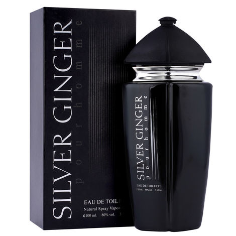 Buy BN PARFUMS Sliver Ginger Eau De Perfume for Men, Fabric Spray Perfume, Long Lasting Fragrance 100 ml-Purplle