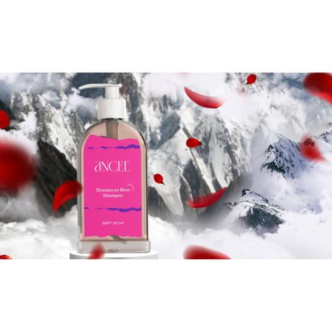 Buy ANCEL Himalayan Rose Shampoo | with Rose Extract, Glycerin & Pro-Vitamin B5 | For Volumizing Hair and Scalp deodorizer I Natural ingredients|Sulphate & Paraben Free | For Men & Women I 300 ml-Purplle