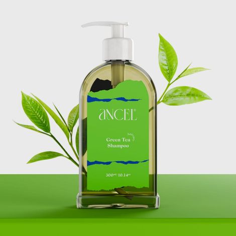 Buy ANCEL Green Tea Shampoo with Green Tea Extract, Tea Tree Oil & Almond Oil l For Deep Cleansing & Dandruff Free Scalp l Purified Water & Pro Vitamin B-5 I Sulphate & Paraben Free l For Men & Women I 300 ml-Purplle