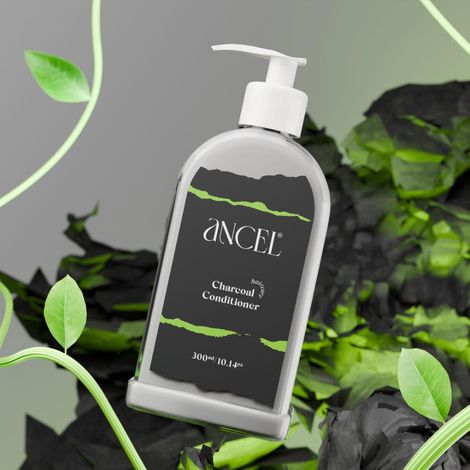 Buy ANCEL Charcoal Conditioner with Activated Charcoal Powder, Almond Oil, Jojoba Oil & Shea Butter | For Deep Cleansing & Volumizing Hair | Natural ingredients| Sulphate & Paraben Free | For Men & Women |300 ml-Purplle
