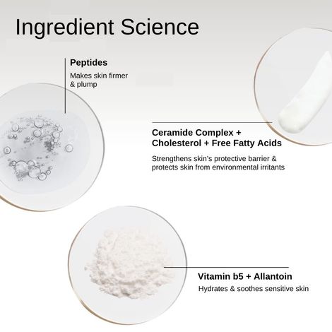 The Formularx Peptide Ceramide Face Moisturizing Cream (Barrier