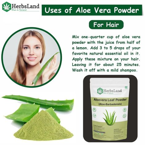 aloe wirkung Aloe Vera „Alfonso“ – Aloe-Vera-Pflanze in Gärtnerqualität kaufen main image 0