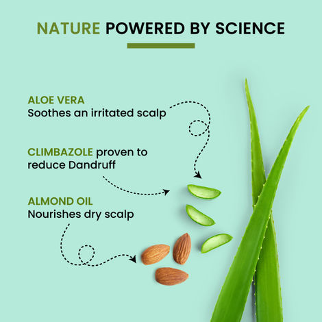 Buy Alps Goodness Aloe Vera Almond Oil and Climbazole Anti Dandruff Shampoo  for Dry Scalp (290 ml) Online | Purplle
