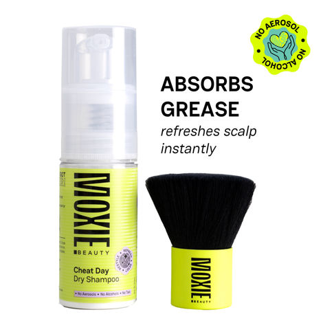 Buy Moxie Beauty Cheat Day Dry Shampoo and Dusting Brush| Absorbs Oil & Refreshes Greasy Roots | No Alcohol or Aerosols - 100% Plant-based | No white-cast or buildup | Pack of 2 (1 Dry Shampoo - 30 gm & 1 Dusting Brush)-Purplle