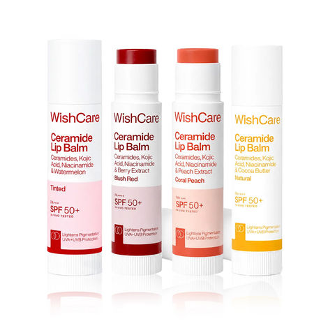 Buy WishCare Lip Balm Power Pack – Brighten & Tint Pack of 4 (5 gm each)-Purplle