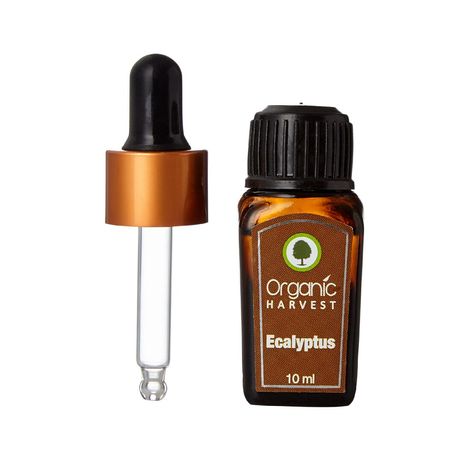 Buy Organic Harvest Eucalyptus (10 ml)-Purplle