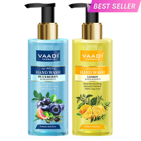 Buy Vaadi Herbals So Refreshing - Pack of 2 Luxurious Handwash - Blueberry & Lemon (250ml x 2)-Purplle