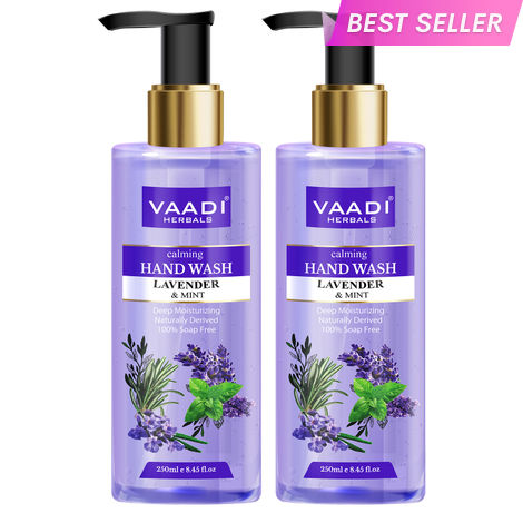 Buy Vaadi Herbals Pack of 2 Calming Lavender & Mint Hand Wash - Deep Moisutirizing (250 ml x 2)-Purplle