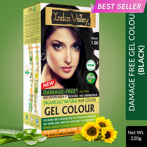 Buy Indus Valley Organically Natural Gel Black/Noir 1.00 Hair Color (220 gm)-Purplle