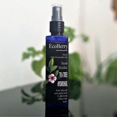 fabindia tea tree toner