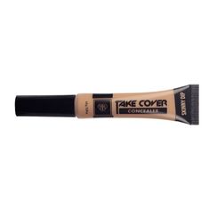 pac derma concealer b5