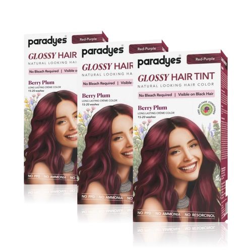 Paradyes Berry Plum Glossy Hair Tint Semi-Permanent Creme Color For Natural Black Hair (Pack of 3)