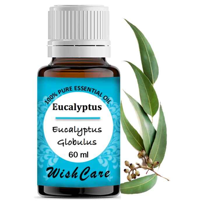 Buy WishCare Pure Eucalyptus Essential Oil - 60 ML - Purplle