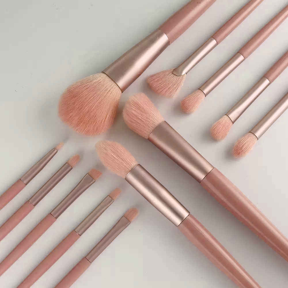 Buy Ronzille Makeup Brush Set Kit - 12 Pcs With Pouch Premium Synthetic Eye Shadows Make Up Brushes, Eyeliner Brushes Blending Face Powder(color may vary) - Purplle