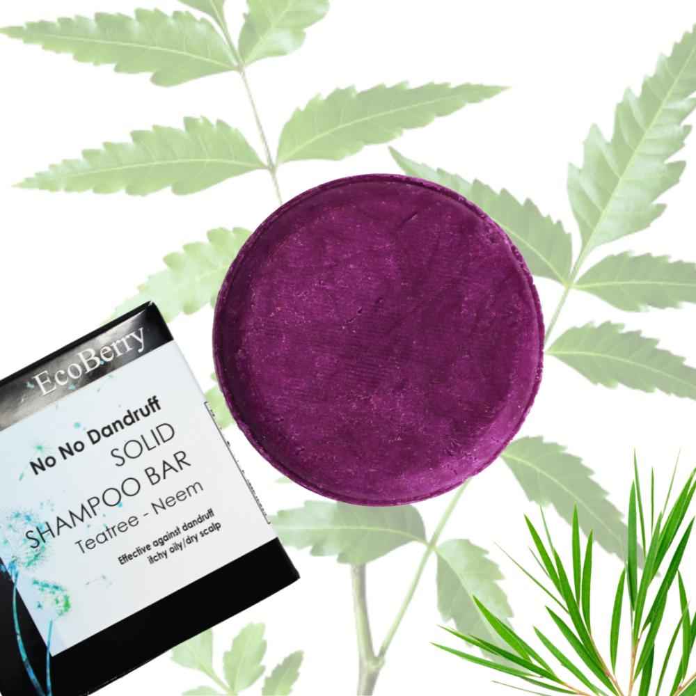 Buy Ecoberry No No Dandruff Organic Shampoo Bar 70 gm - Purplle