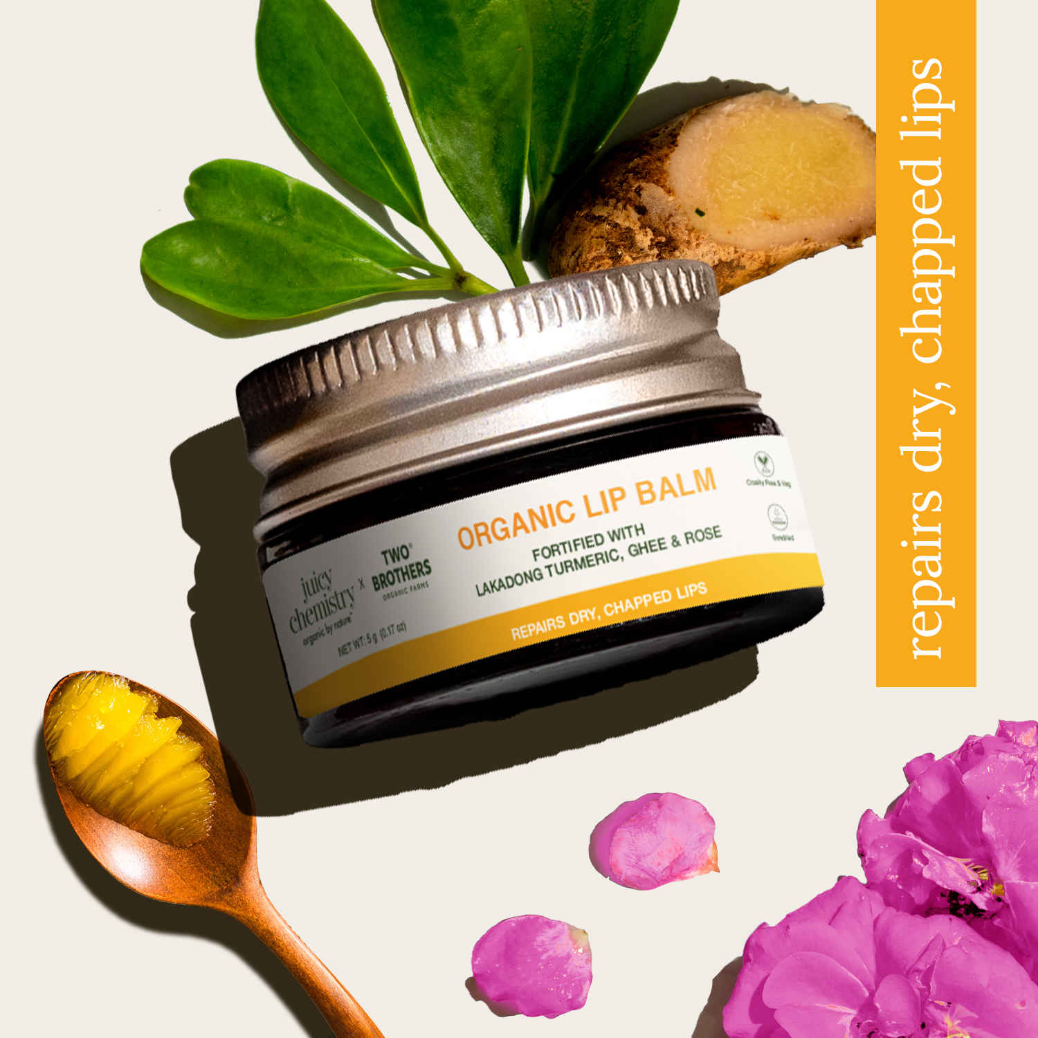 Buy Juicy Chemistry x Two Brothers Organic Farms Lakadong Turmeric, Ghee & Rose Organic Lip Balm, 5 gm | Nourishing Lip Care for Dry, Chapped & Pigmented Lips | Hydrating & Softening | Lightweight | Non-Greasy - Purplle
