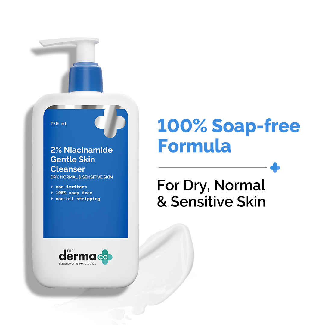 Buy The Derma Co. 2 2% Niacinamide Gentle Skin Cleanser - 250ml - Purplle