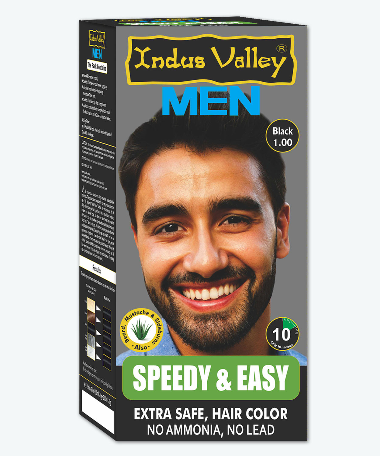 Buy Indus Valley Speedy & Easy Men's Black Hair Color (220 g ...