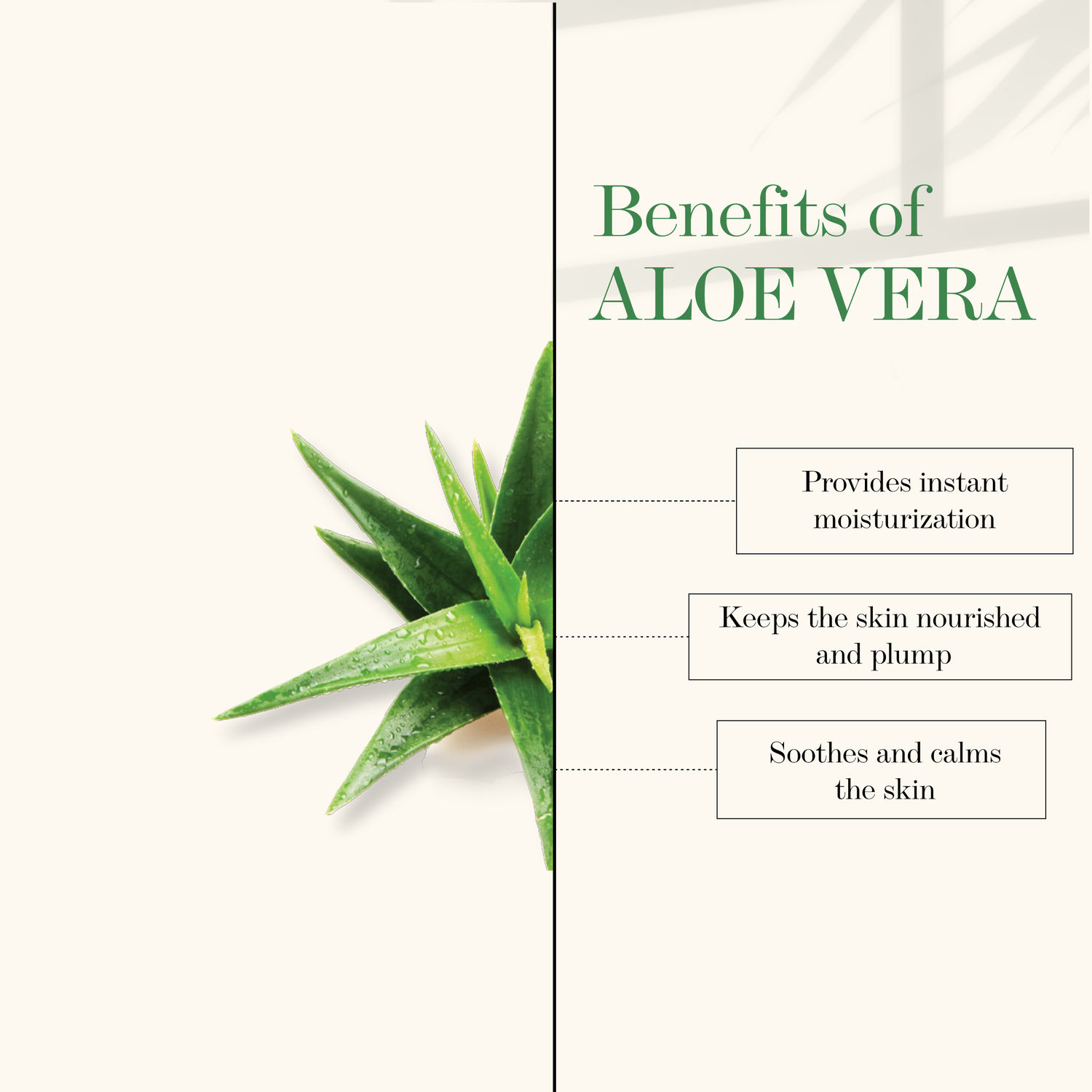 essence serum aloe vera Hyaluronic Acid Serum with Aloe Vera main image 1