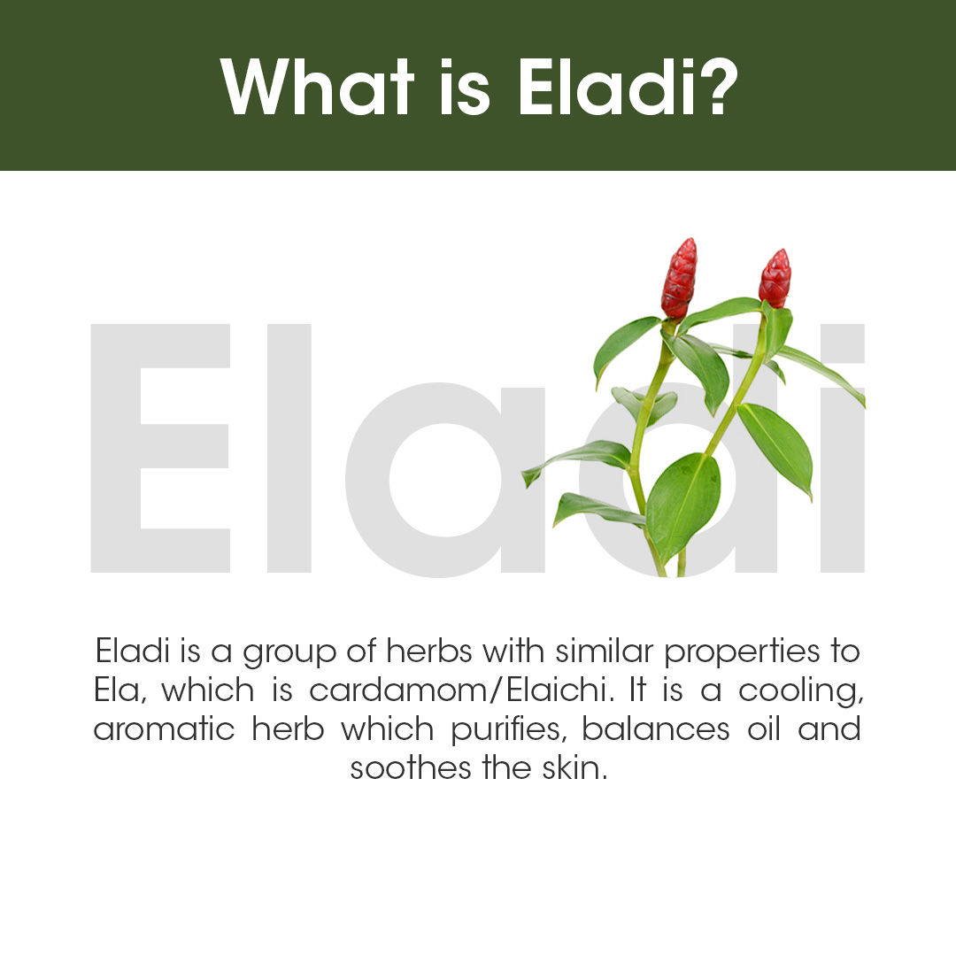 TAC The Ayurveda Co.Eladi,Triphala & Hemp Seed SPF 50 SUNSCREEN UVA + UVB PA++++ Protect